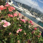 i fiori di yacht e garden a Genova