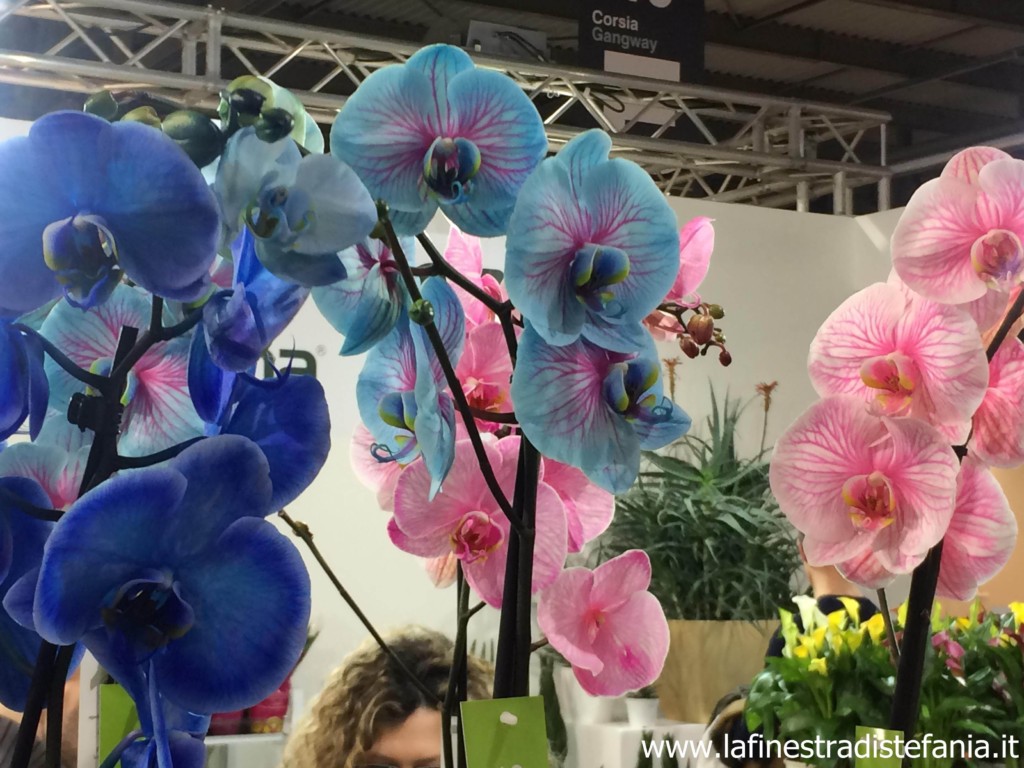 come riprodurre le orchidee, how to reproduce orchids